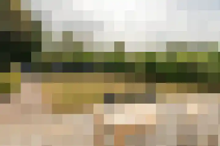 De Bongerd 67 Rohel thumbnail 20