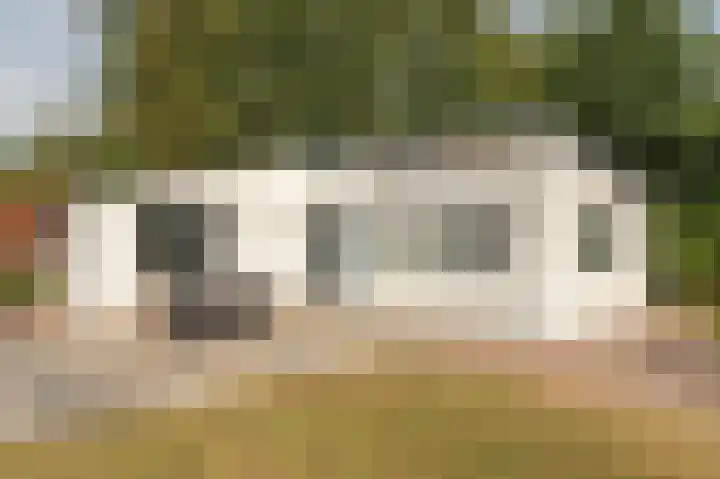 De Bongerd 67 Rohel thumbnail 21