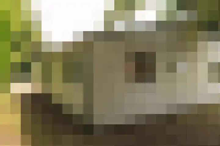 De Bongerd 67 Rohel thumbnail 26