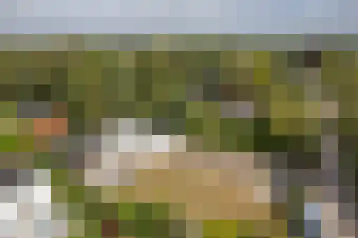 De Bongerd 67 Rohel thumbnail 28