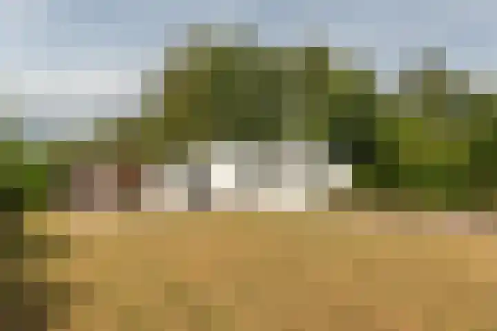 De Bongerd 67 Rohel thumbnail 31
