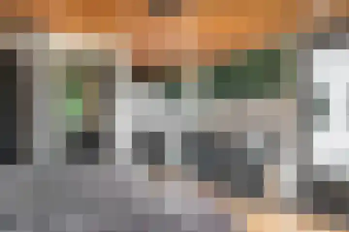De Bongerd 67 Rohel thumbnail 9