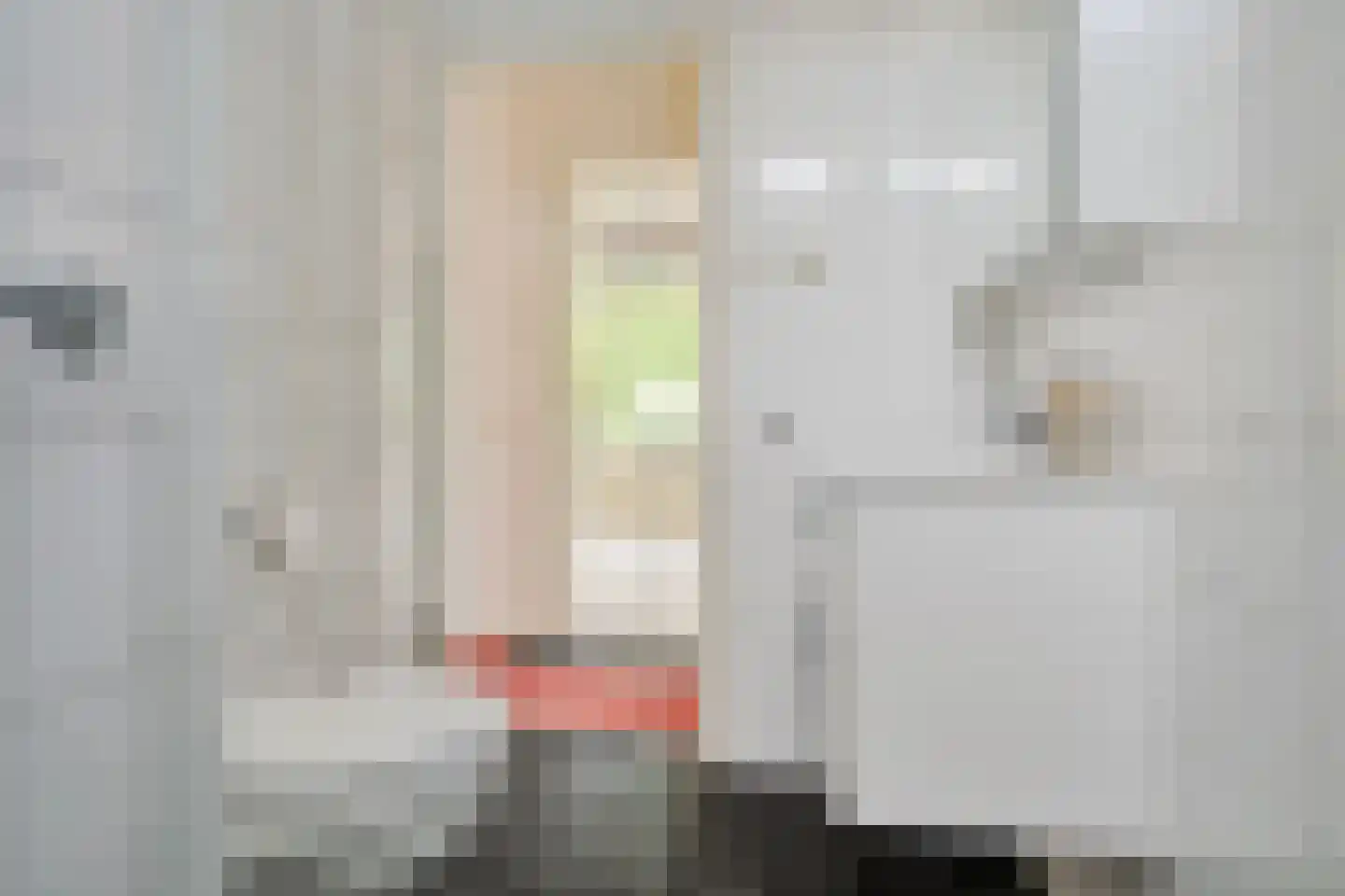 De Bongerd 7 Gorssel thumbnail 27