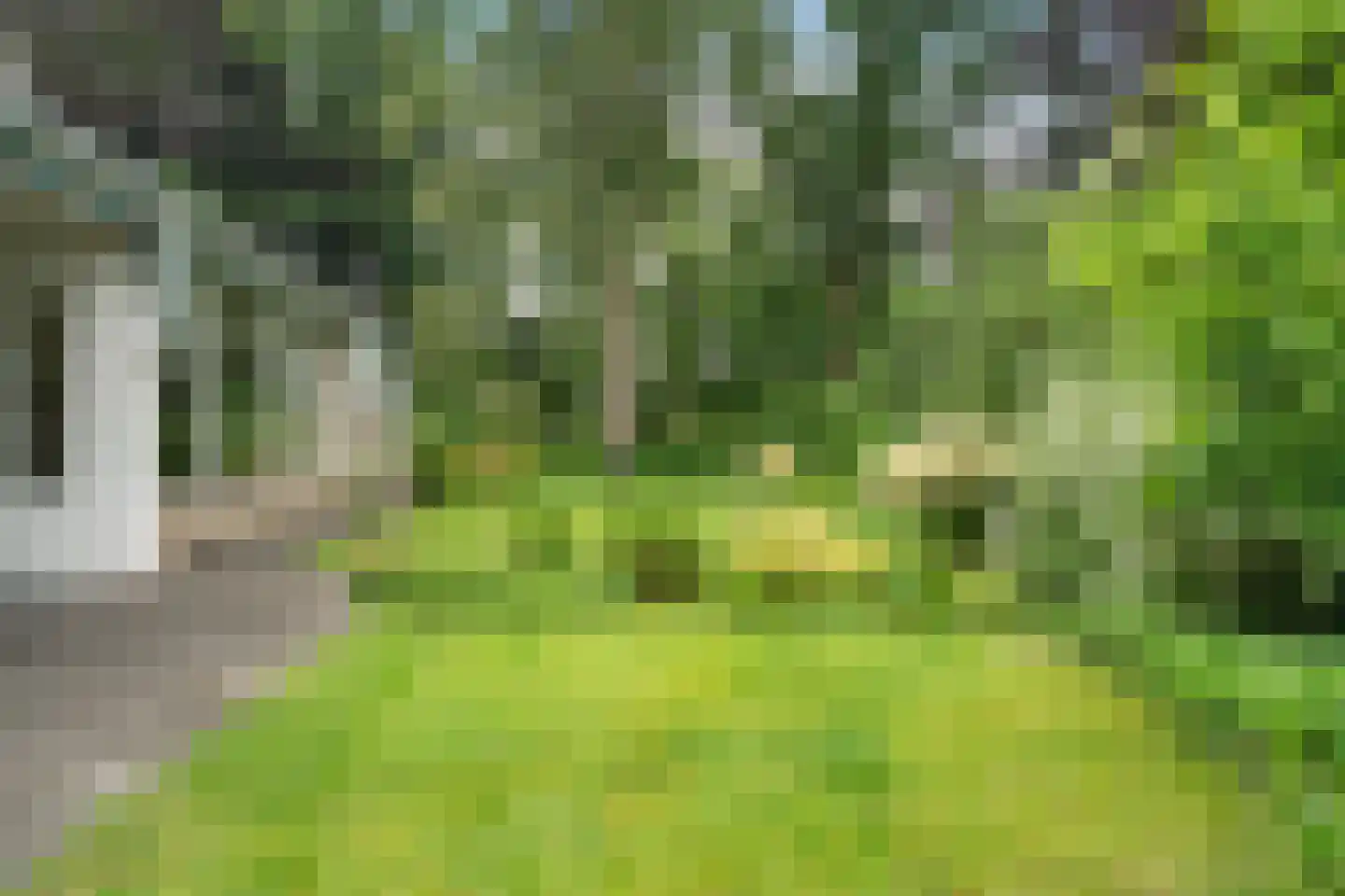 De Bongerd 7 Gorssel thumbnail 35
