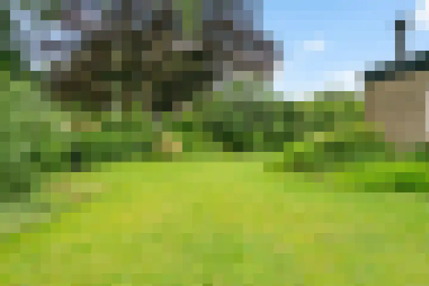 De Bongerd 7 Gorssel thumbnail 36