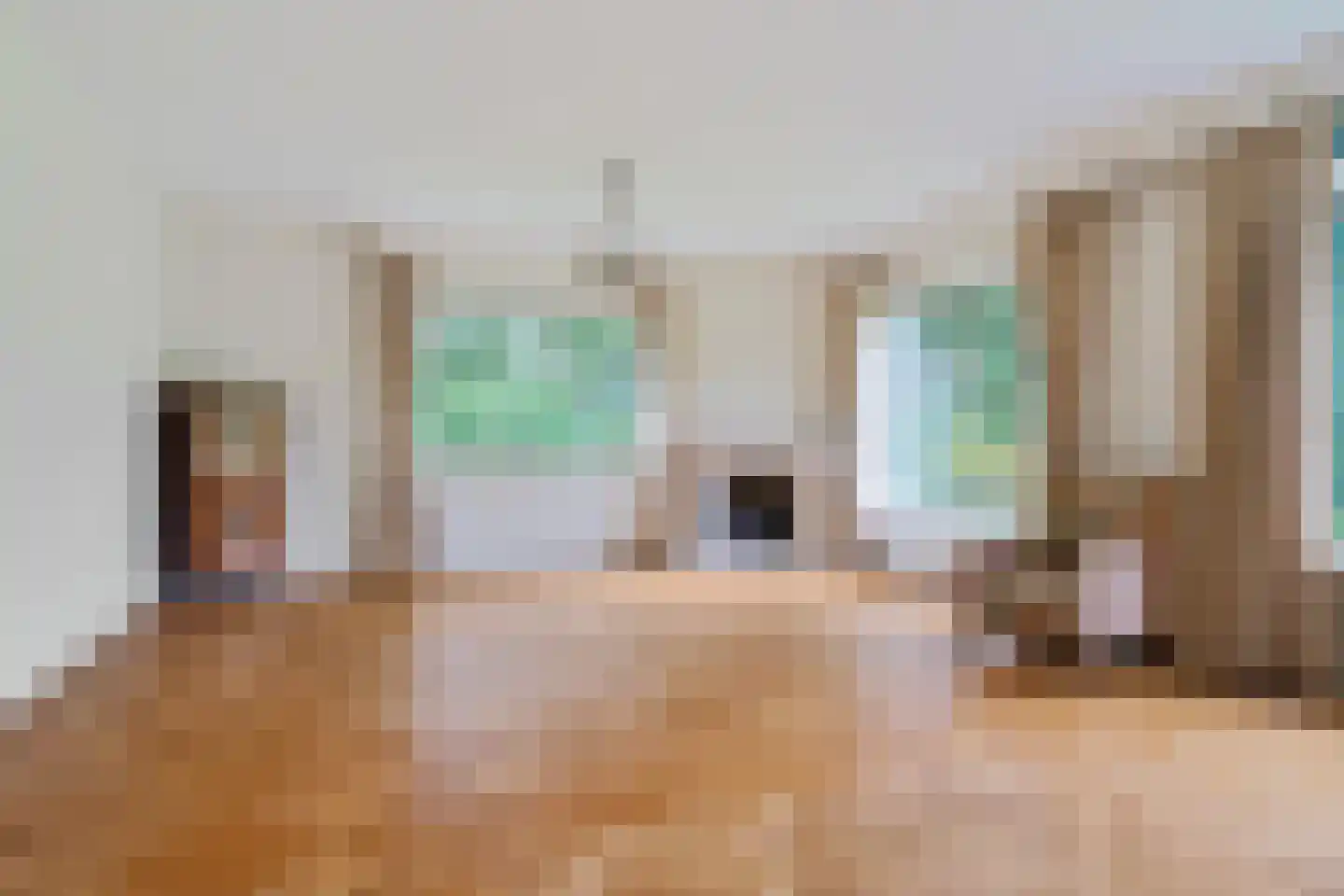De Bongerd 7 Gorssel thumbnail 5