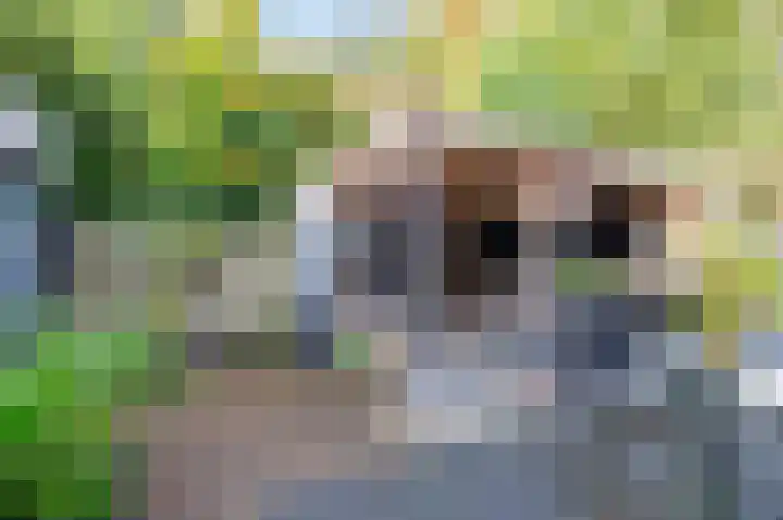 De Bongerd 7 Zuidhorn thumbnail 4