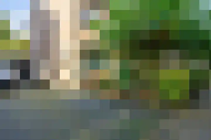 De Bongerd 7 Zuidhorn thumbnail 5