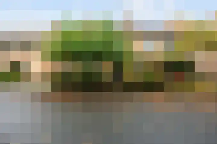 De Bongerd 7 Zuidhorn thumbnail 6