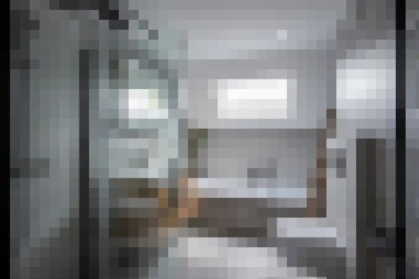 De Bongerd 72 Dalem thumbnail 13