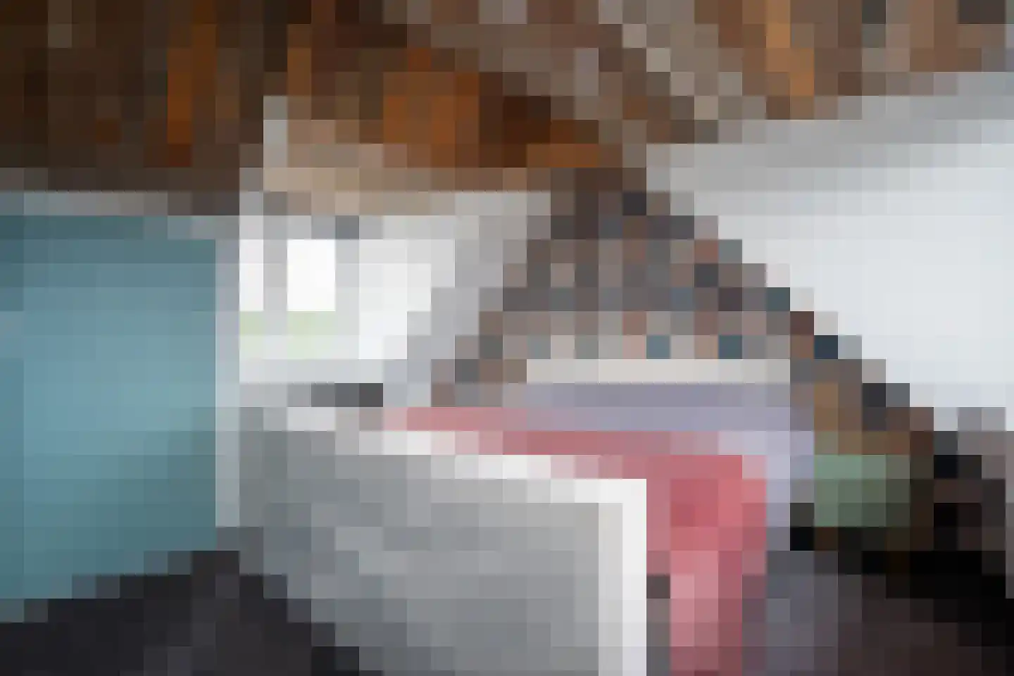 De Bongerd 72 Dalem thumbnail 16
