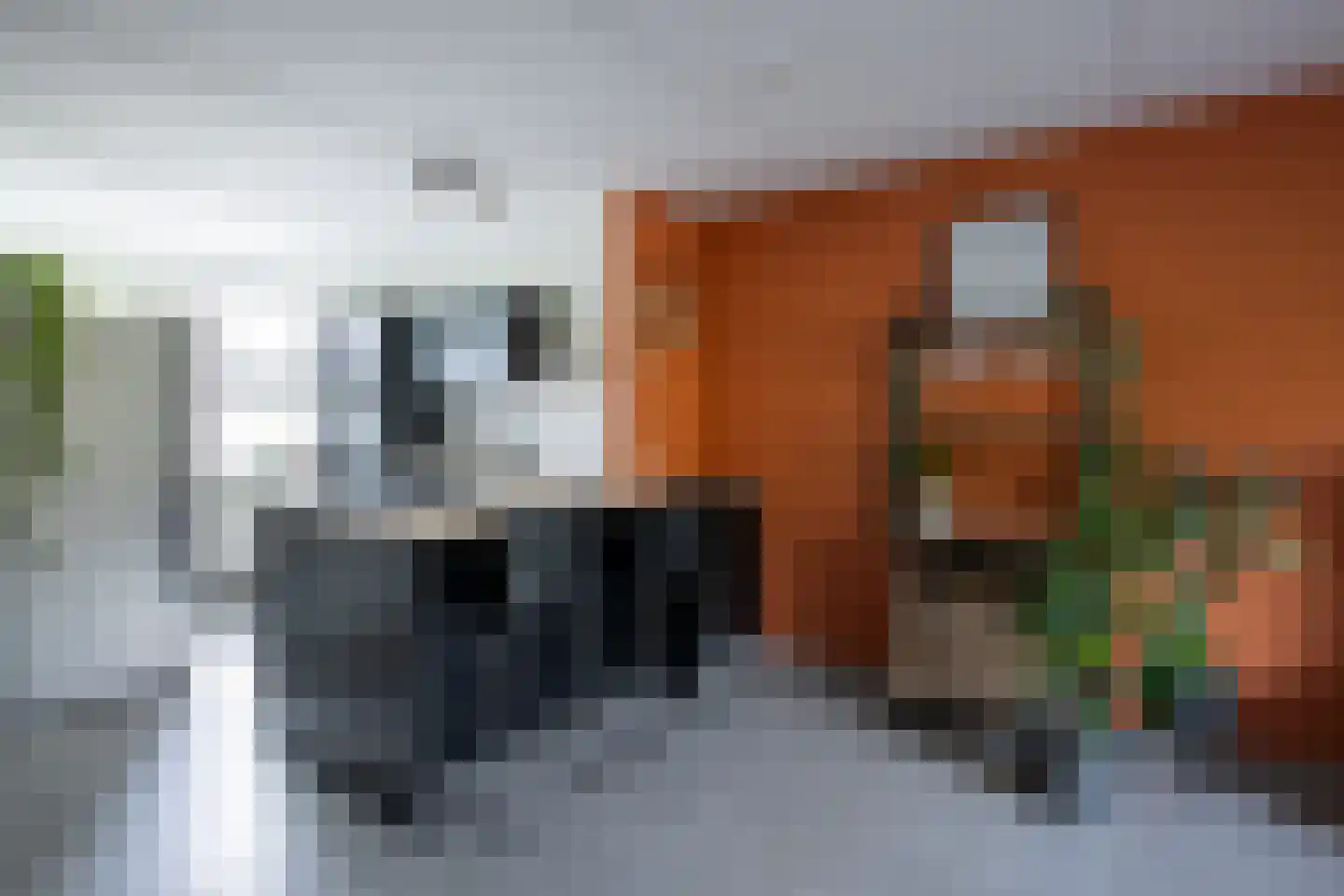 De Bongerd 72 Dalem thumbnail 5
