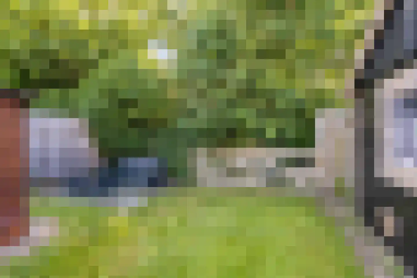 De Bongerd 78 A Rohel thumbnail 13