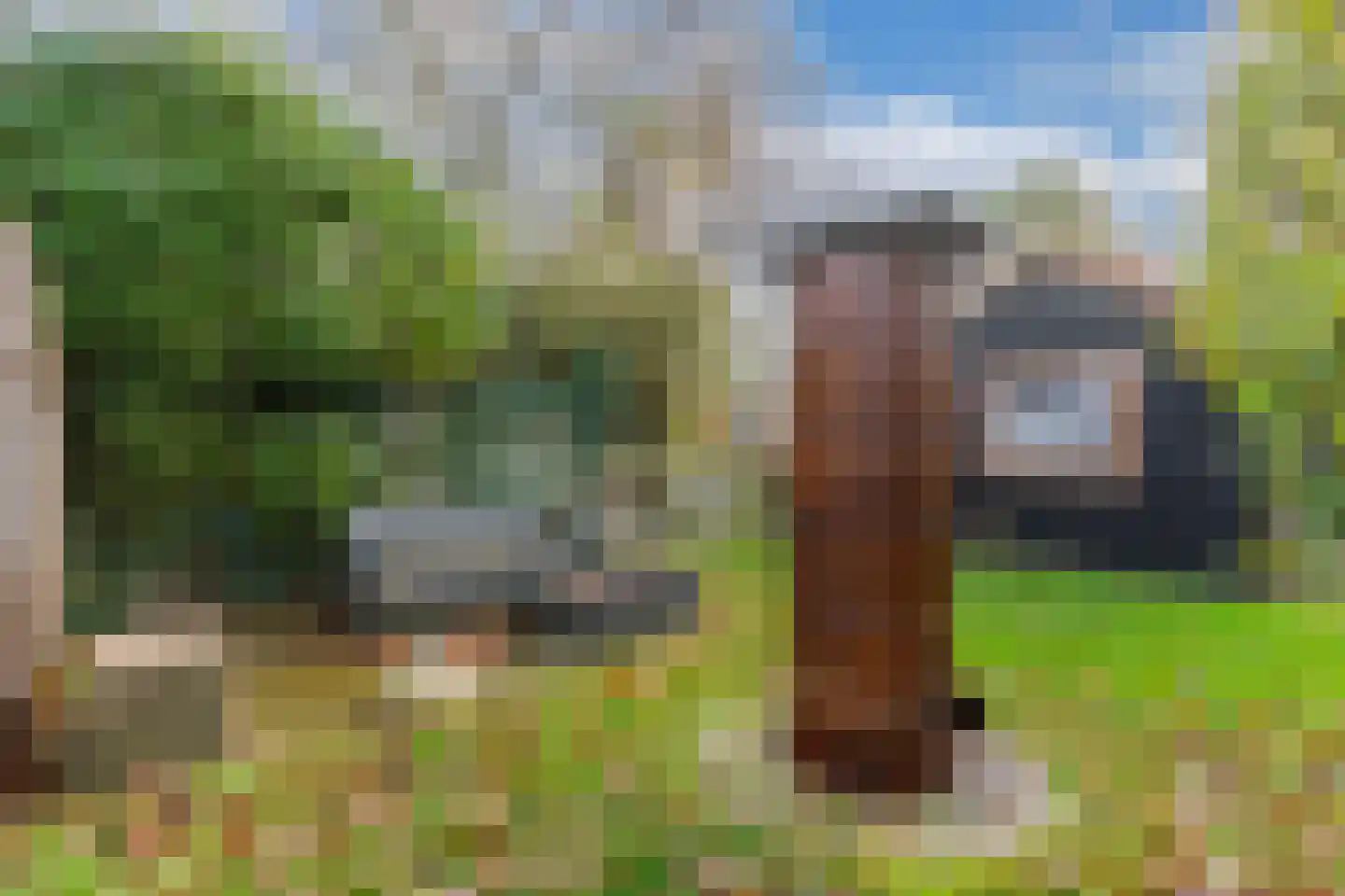 De Bongerd 78 A Rohel thumbnail 14