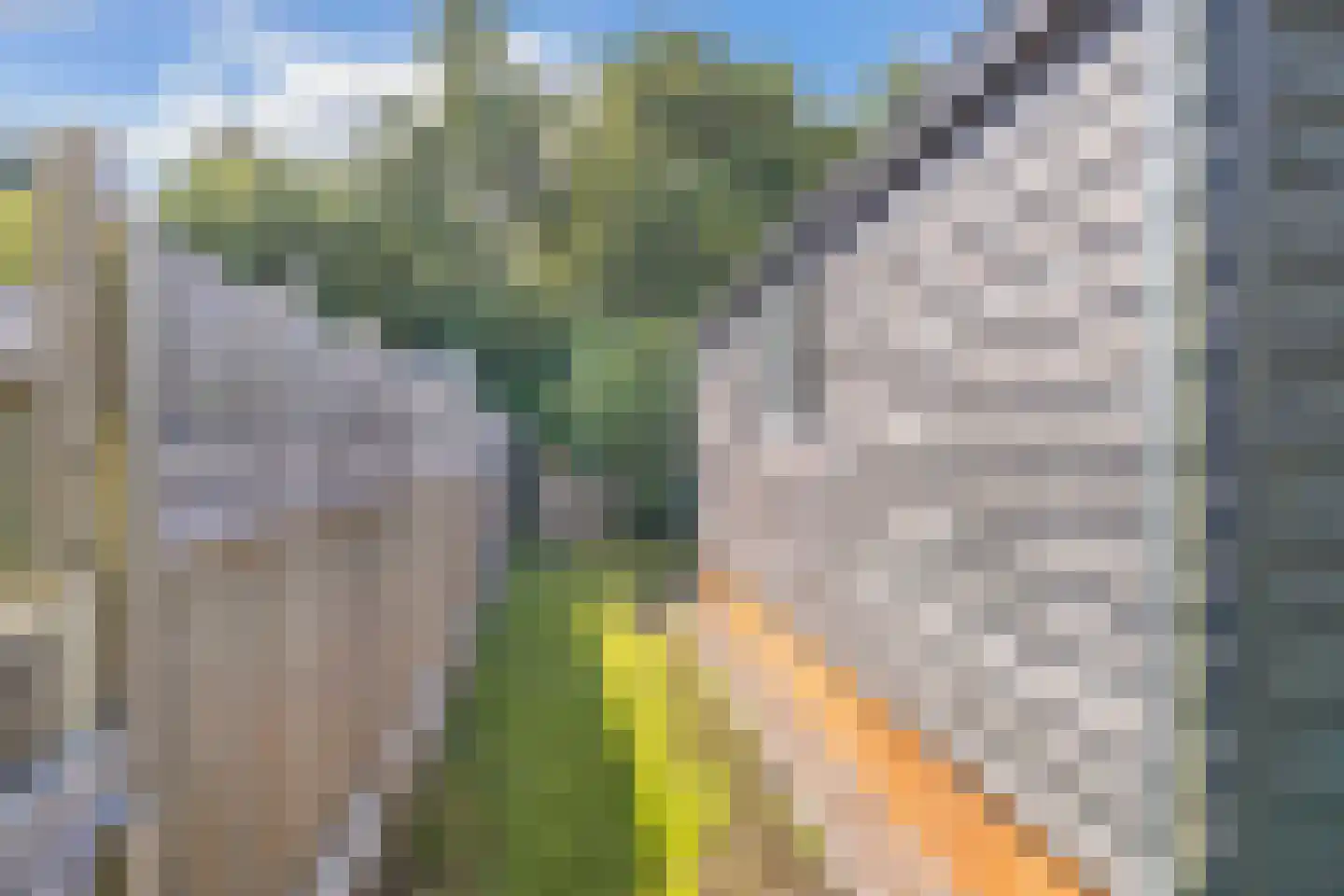 De Bongerd 78 A Rohel thumbnail 18