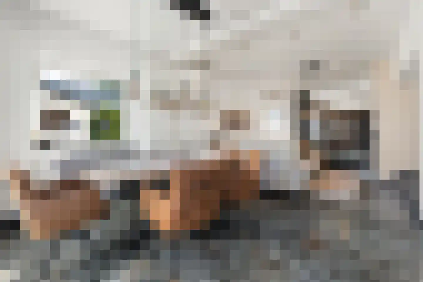 De Bongerd 8 Munstergeleen thumbnail 13