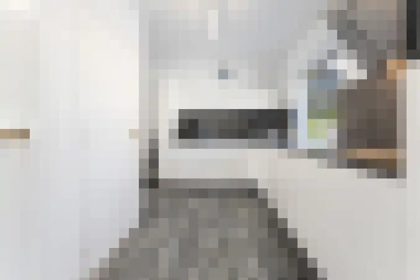 De Bongerd 8 Munstergeleen thumbnail 15