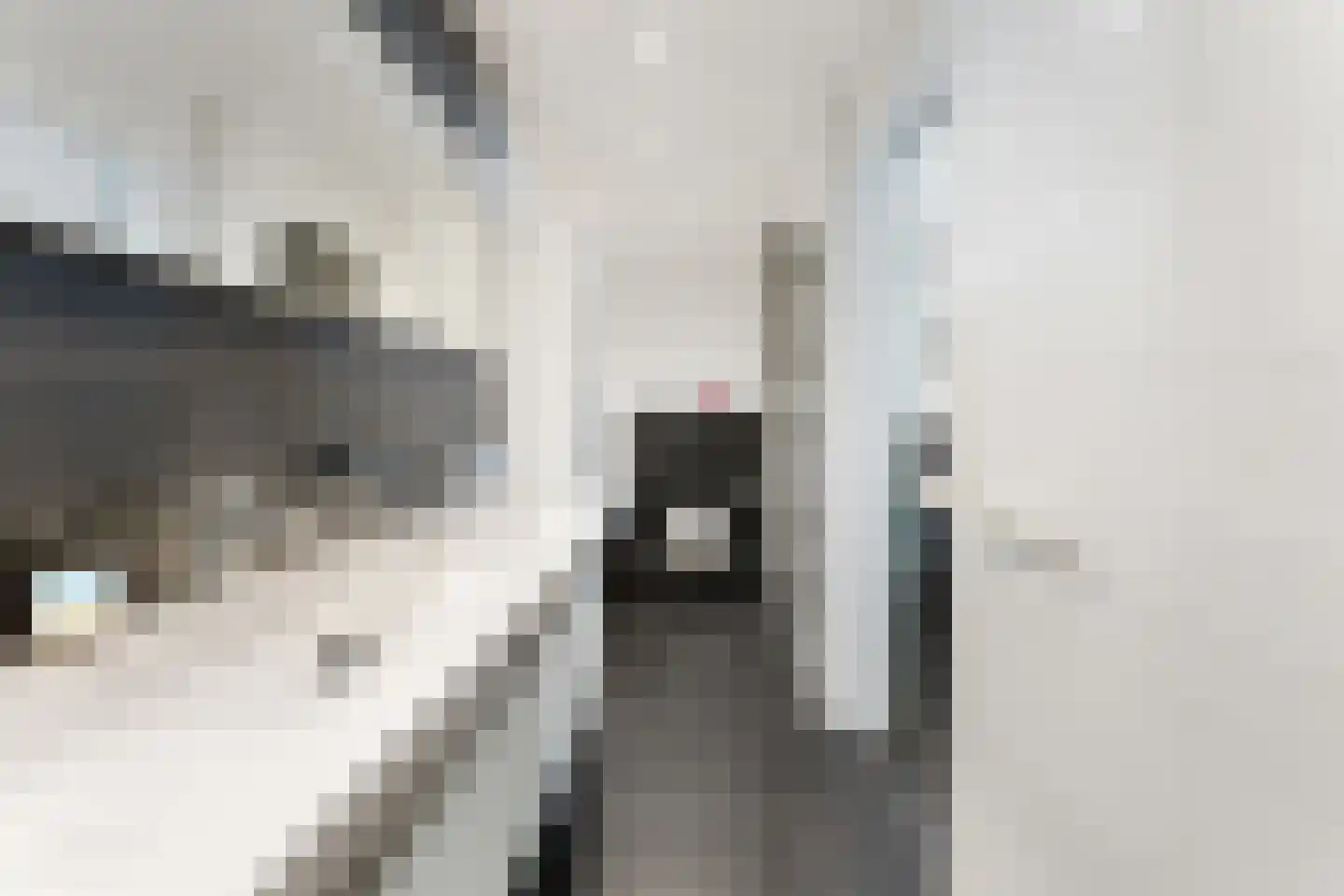 De Bongerd 8 Munstergeleen thumbnail 22