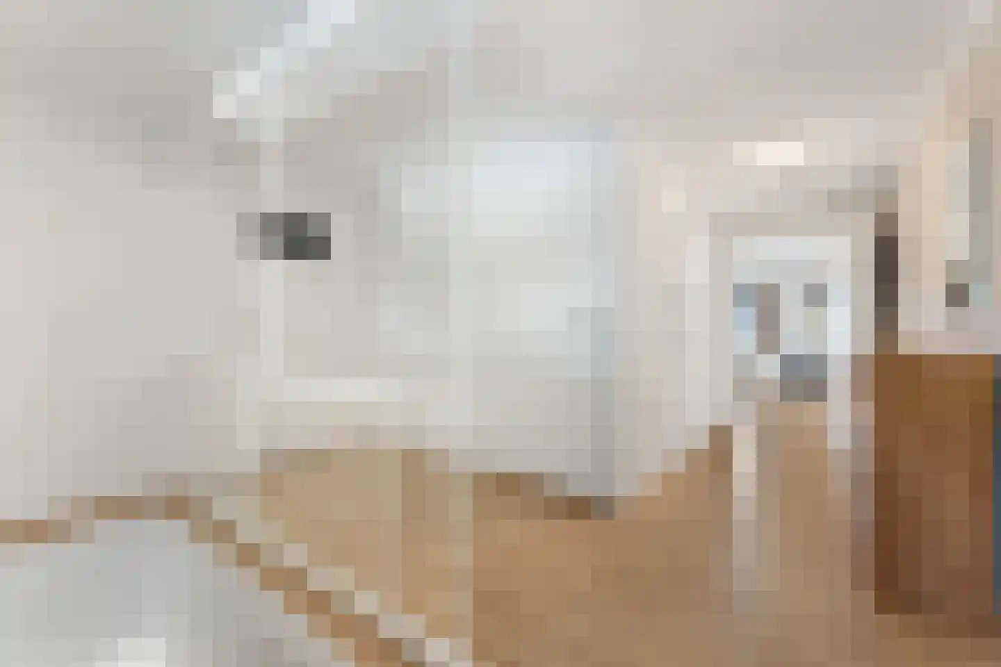 De Bongerd 8 Munstergeleen thumbnail 30