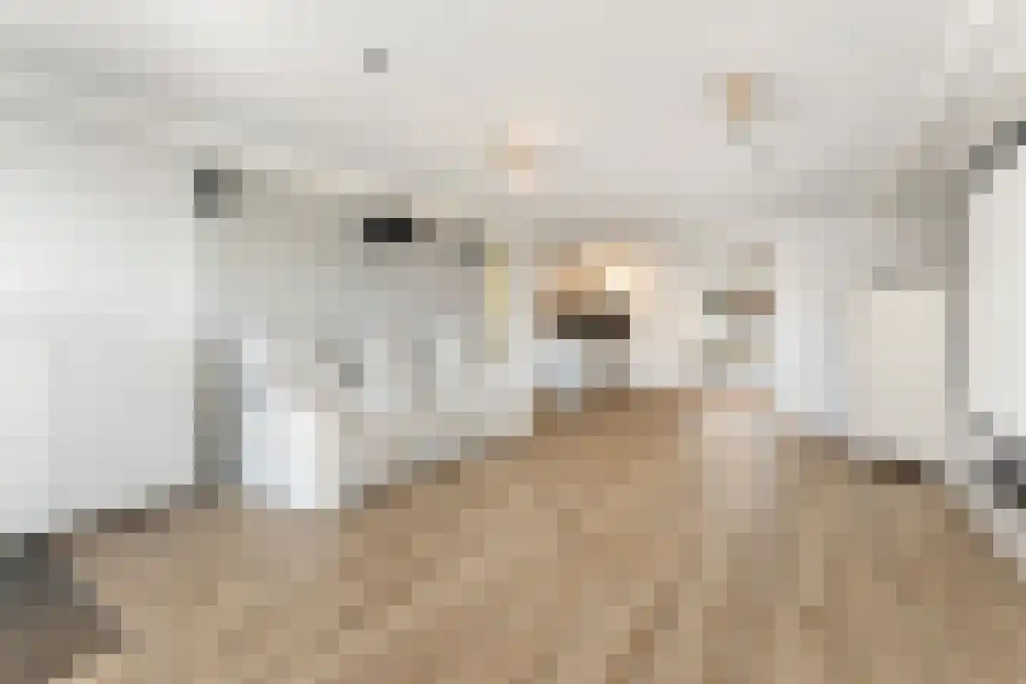 De Bongerd 8 Munstergeleen thumbnail 36