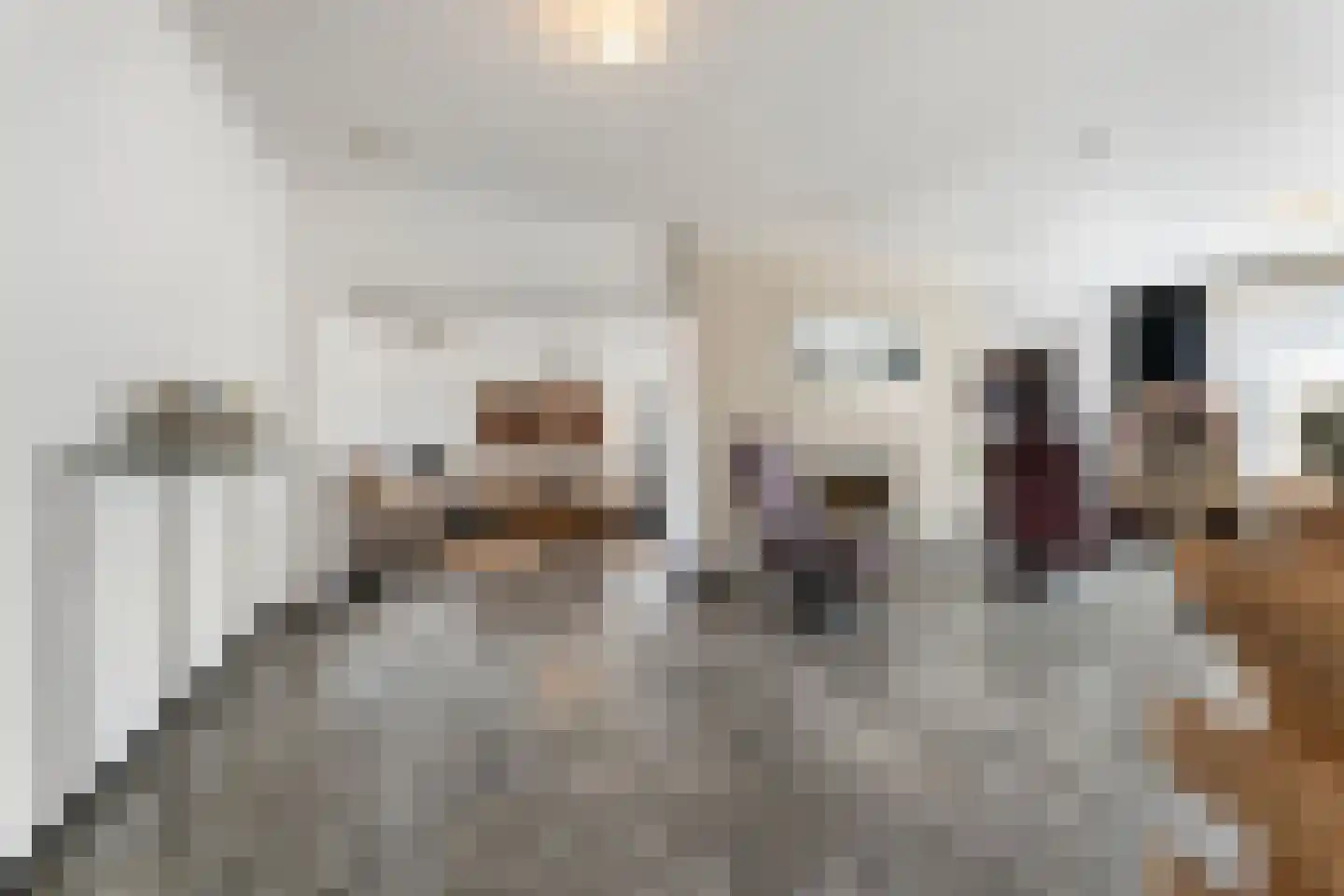 De Bongerd 8 Munstergeleen thumbnail 9