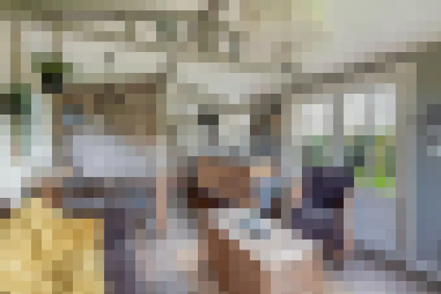 De Bongerd 80 Rohel thumbnail 12