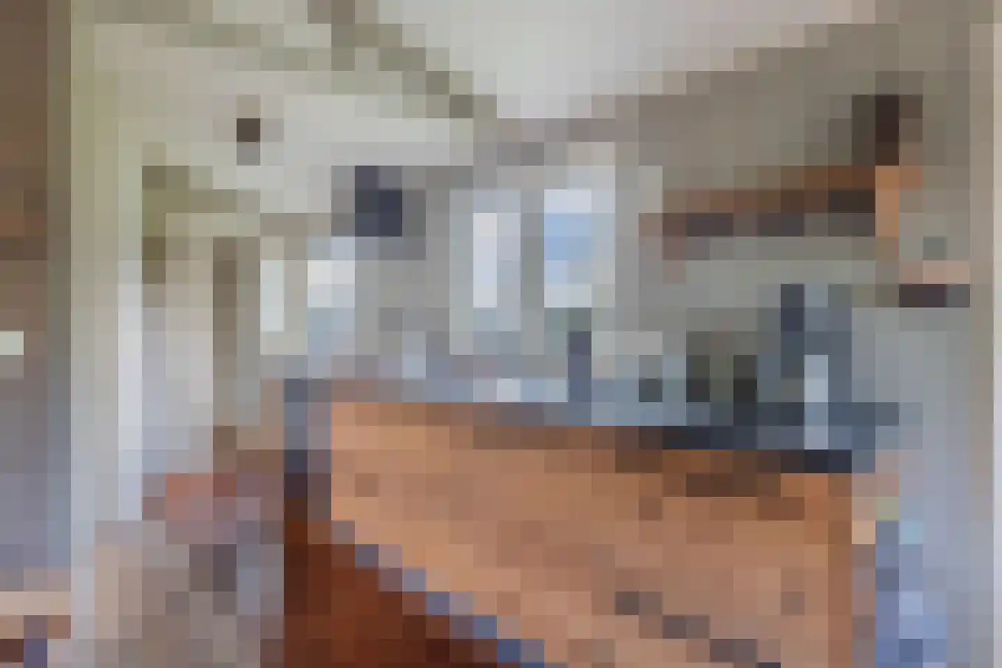 De Bongerd 80 Rohel thumbnail 14