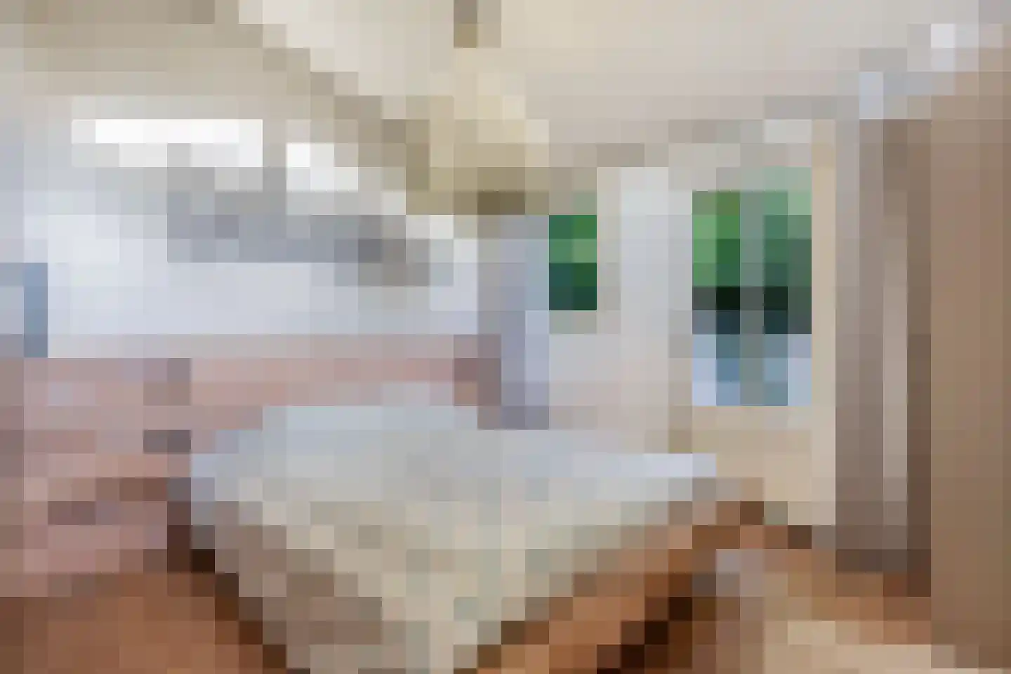 De Bongerd 80 Rohel thumbnail 15