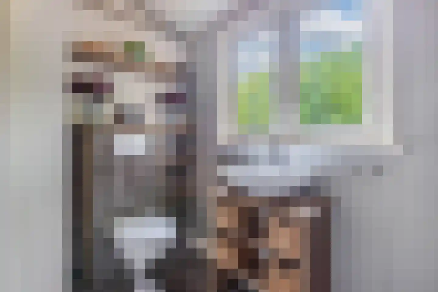 De Bongerd 80 Rohel thumbnail 19