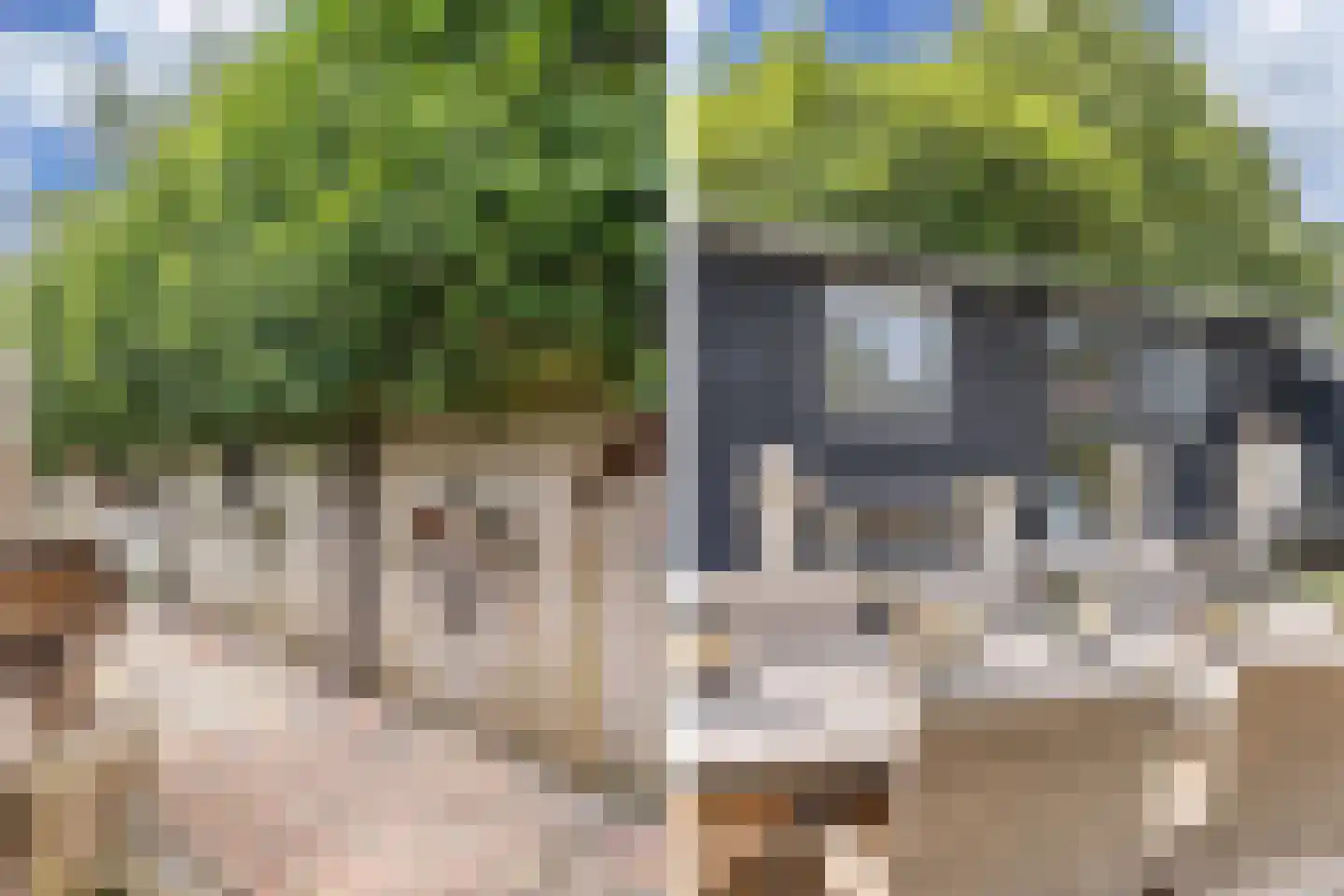 De Bongerd 80 Rohel thumbnail 20