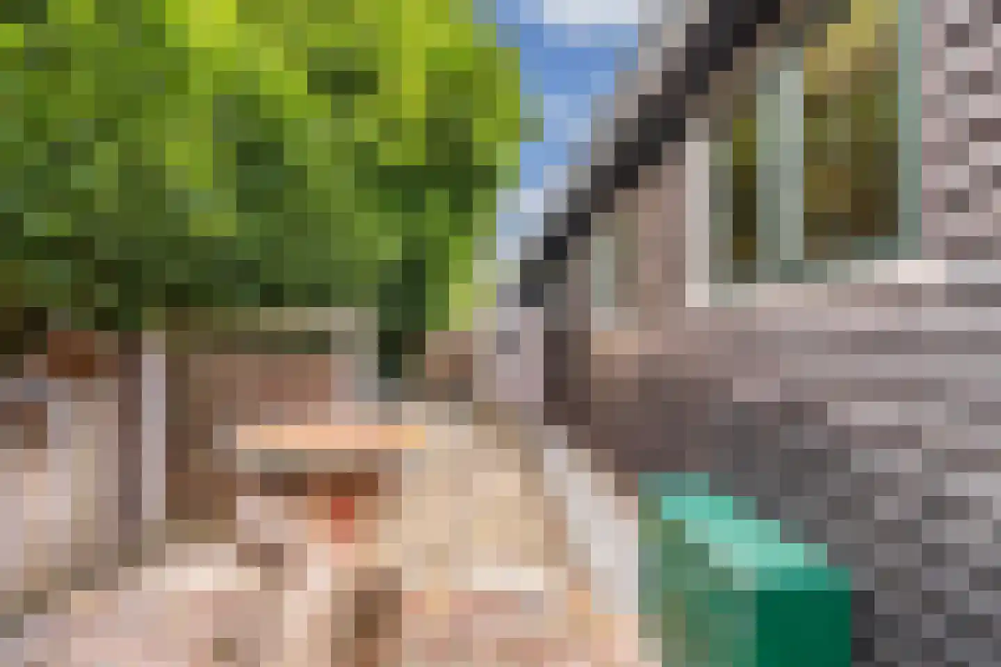 De Bongerd 80 Rohel thumbnail 21