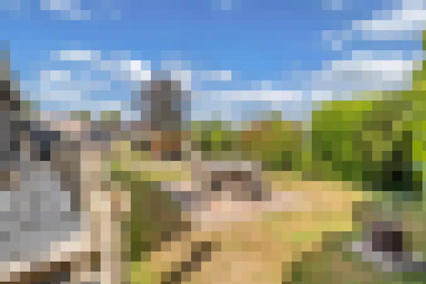 De Bongerd 80 Rohel thumbnail 23