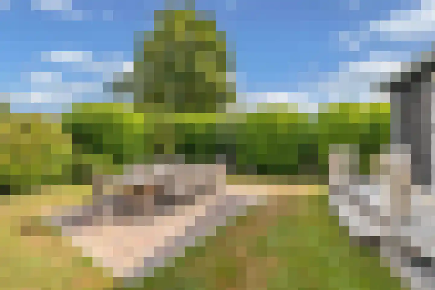 De Bongerd 80 Rohel thumbnail 24