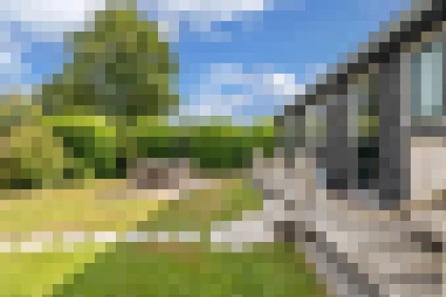 De Bongerd 80 Rohel thumbnail 25
