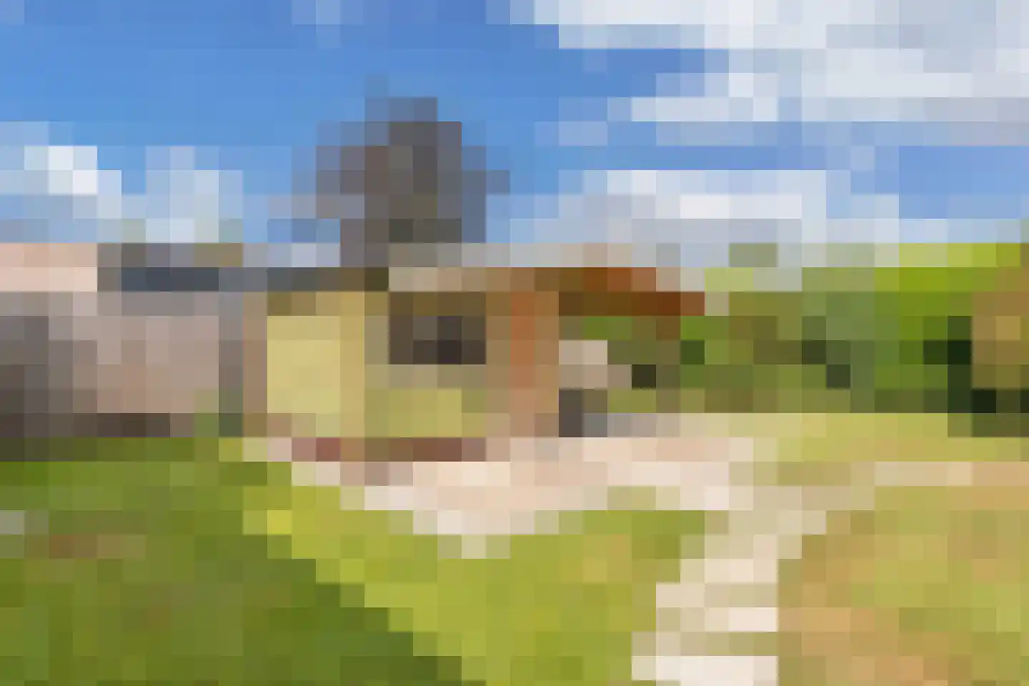 De Bongerd 80 Rohel thumbnail 26