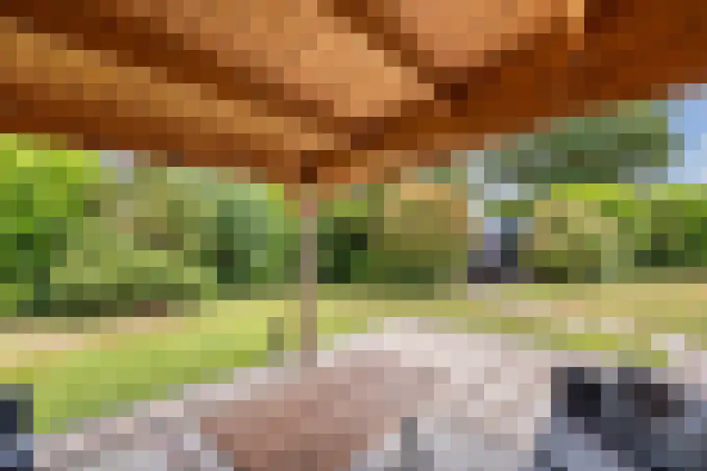De Bongerd 80 Rohel thumbnail 27