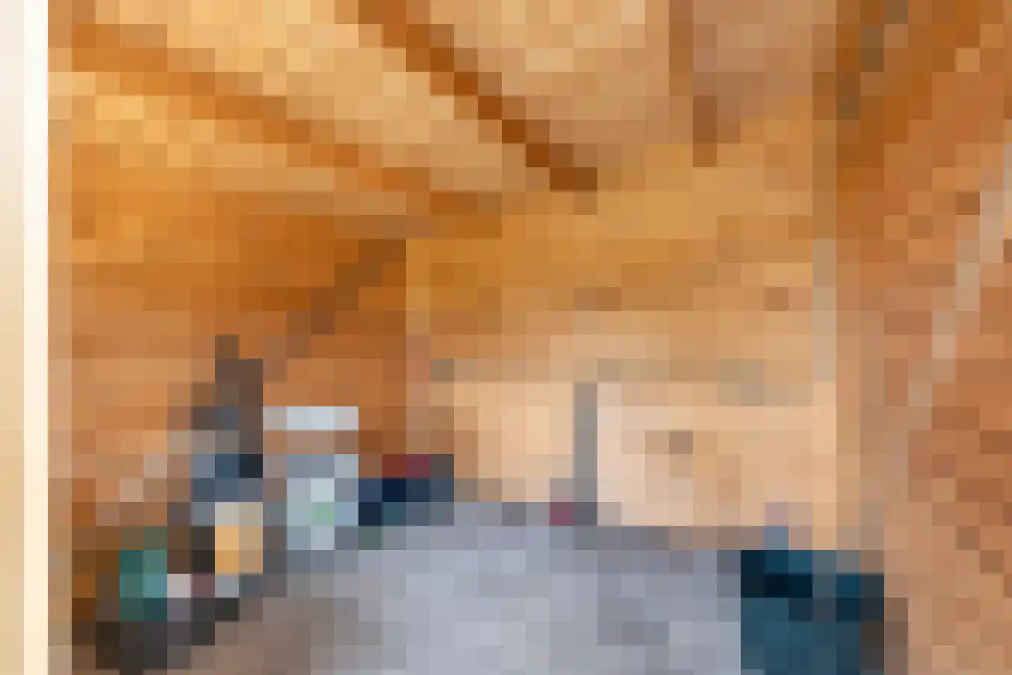 De Bongerd 80 Rohel thumbnail 28