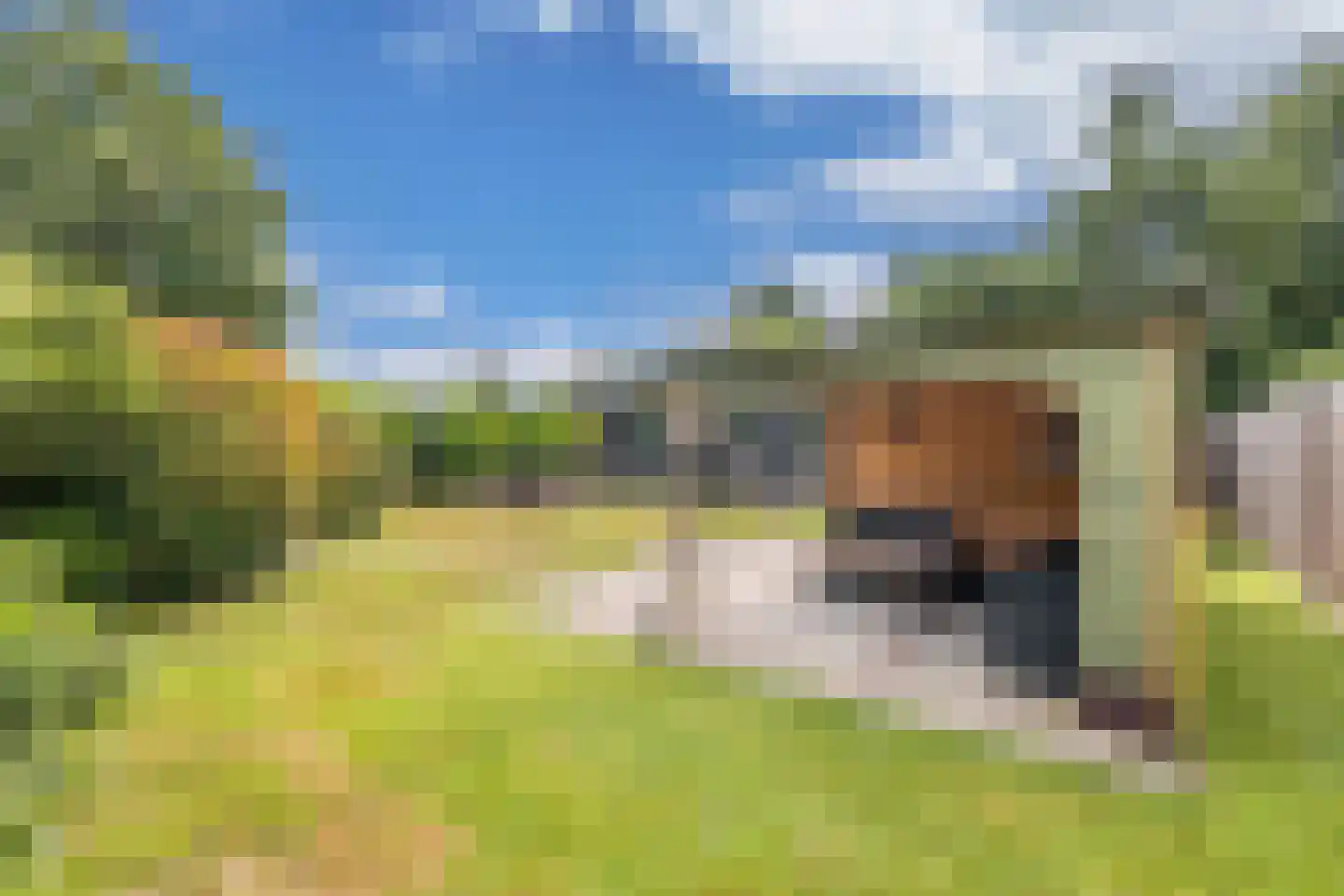De Bongerd 80 Rohel thumbnail 29