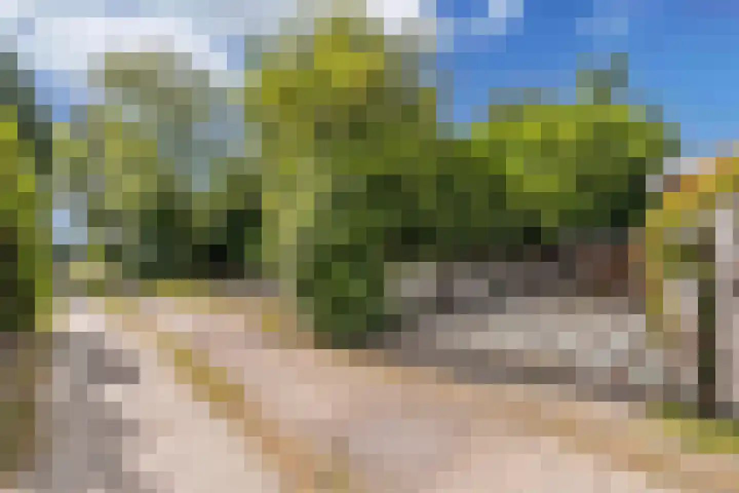 De Bongerd 80 Rohel thumbnail 30
