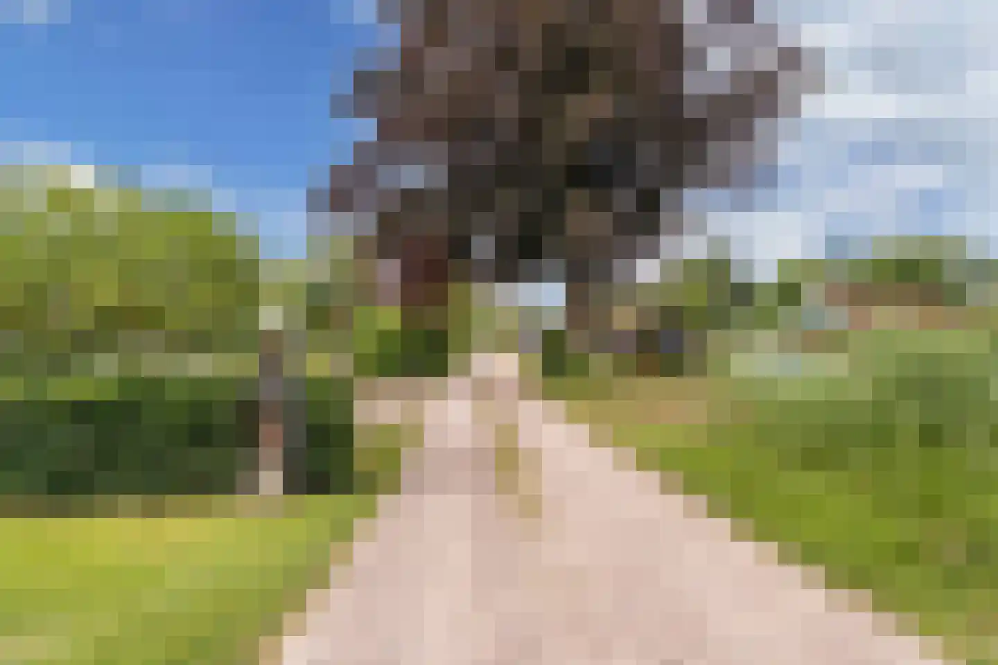 De Bongerd 80 Rohel thumbnail 34