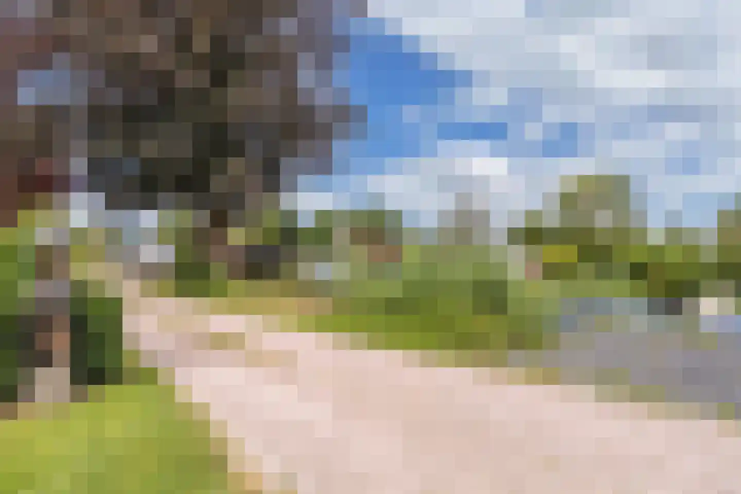 De Bongerd 80 Rohel thumbnail 35