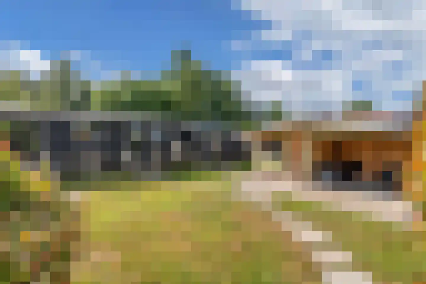 De Bongerd 80 Rohel thumbnail 4