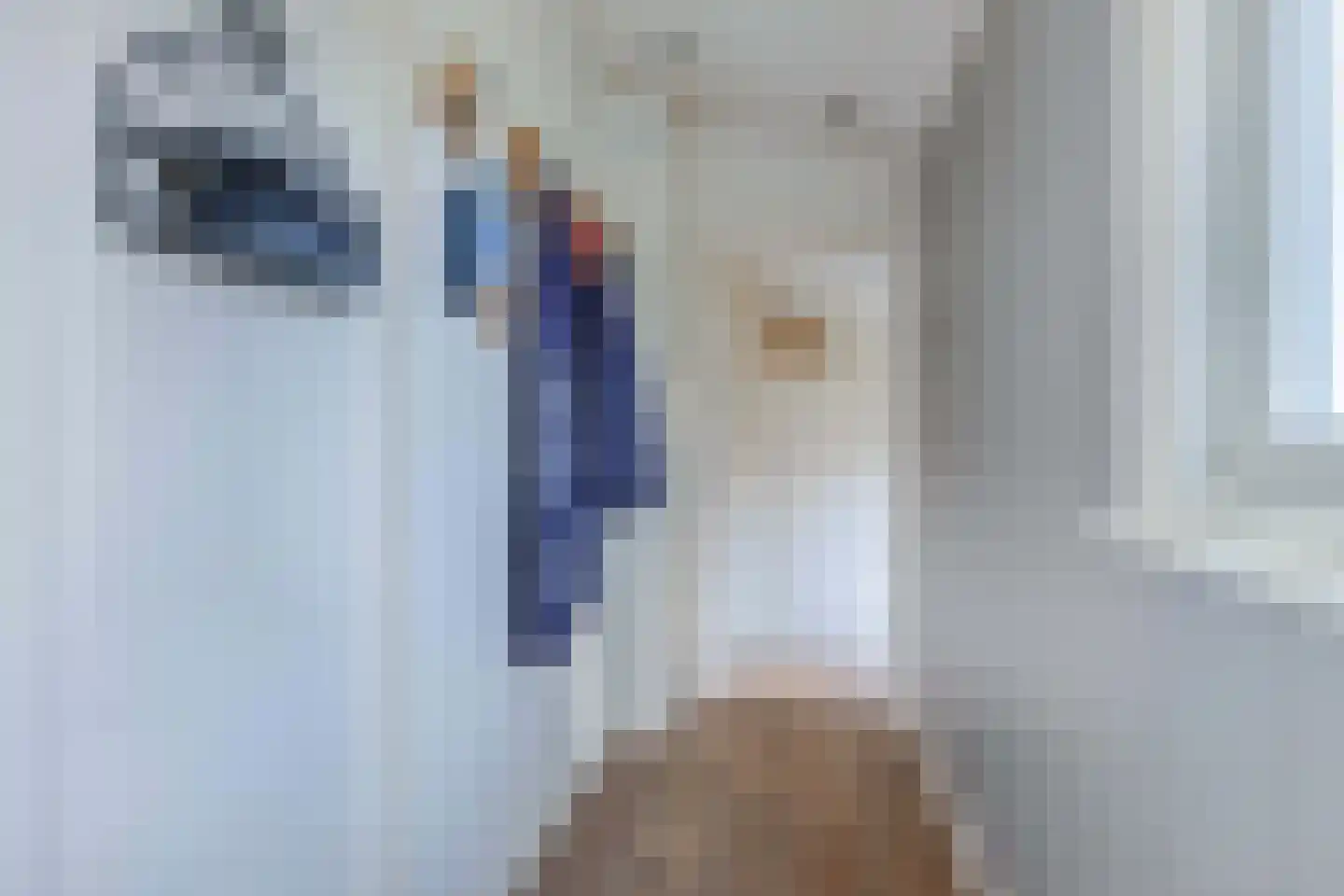 De Bongerd 80 Rohel thumbnail 6
