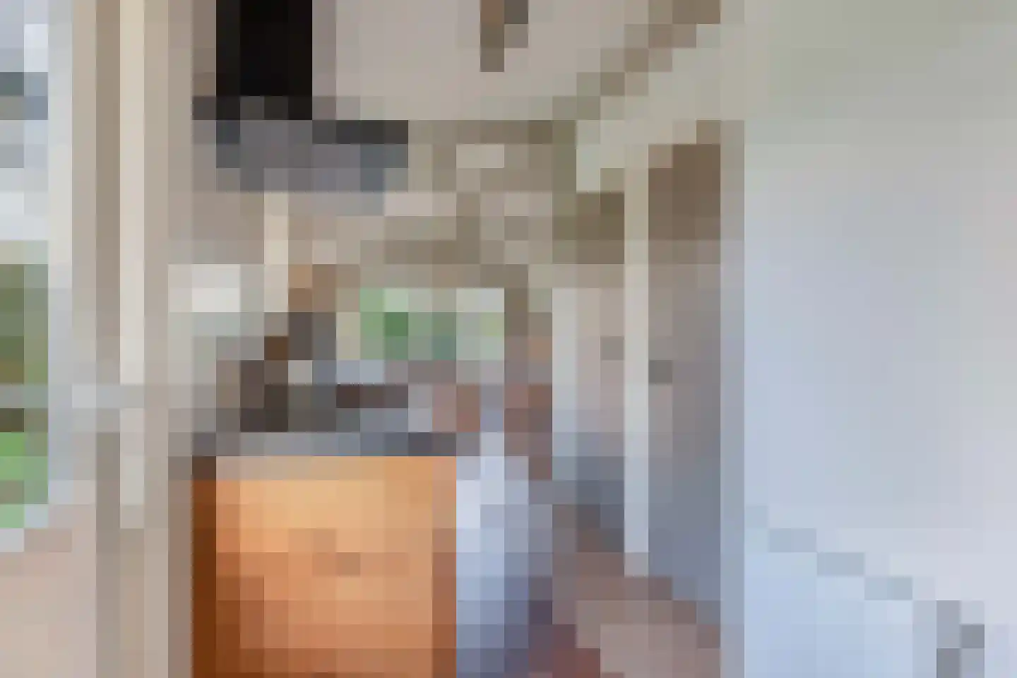 De Bongerd 80 Rohel thumbnail 7