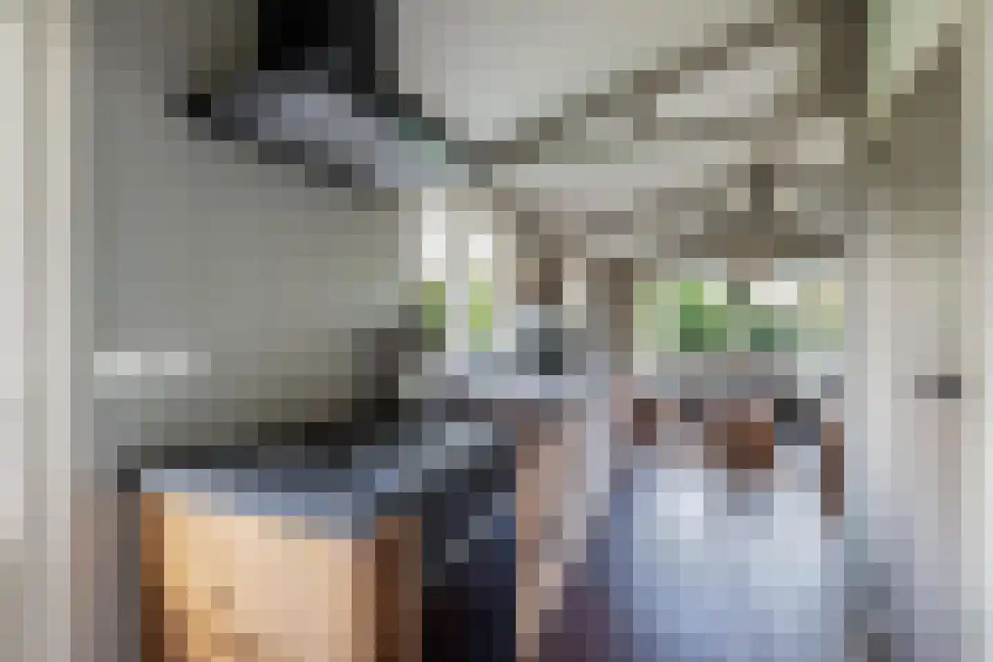 De Bongerd 80 Rohel thumbnail 8