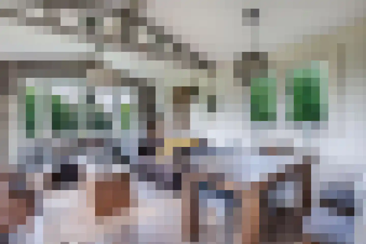 De Bongerd 80 Rohel thumbnail 9