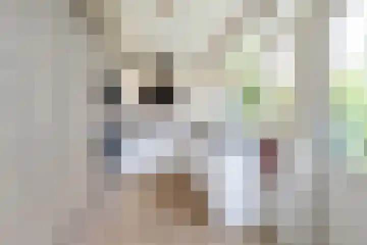 De Bongerd 81 Zuidhorn thumbnail 10