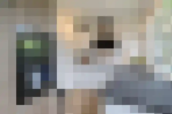 De Bongerd 81 Zuidhorn thumbnail 11