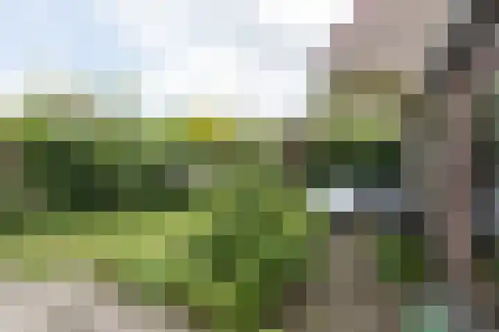 De Bongerd 81 Zuidhorn thumbnail 13
