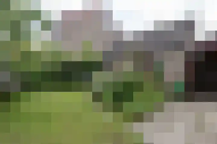 De Bongerd 81 Zuidhorn thumbnail 14